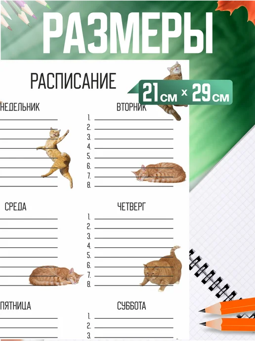 1-я Наклейка Расписание уроков мемные коты, черный, фото 2