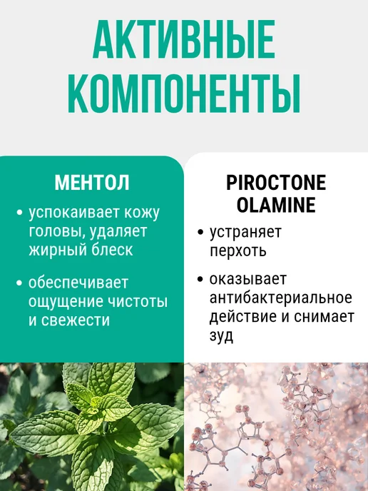 IRIS COSMETIC Шампунь против перхоти контроль над жирностью Men, 400 мл, фото 2