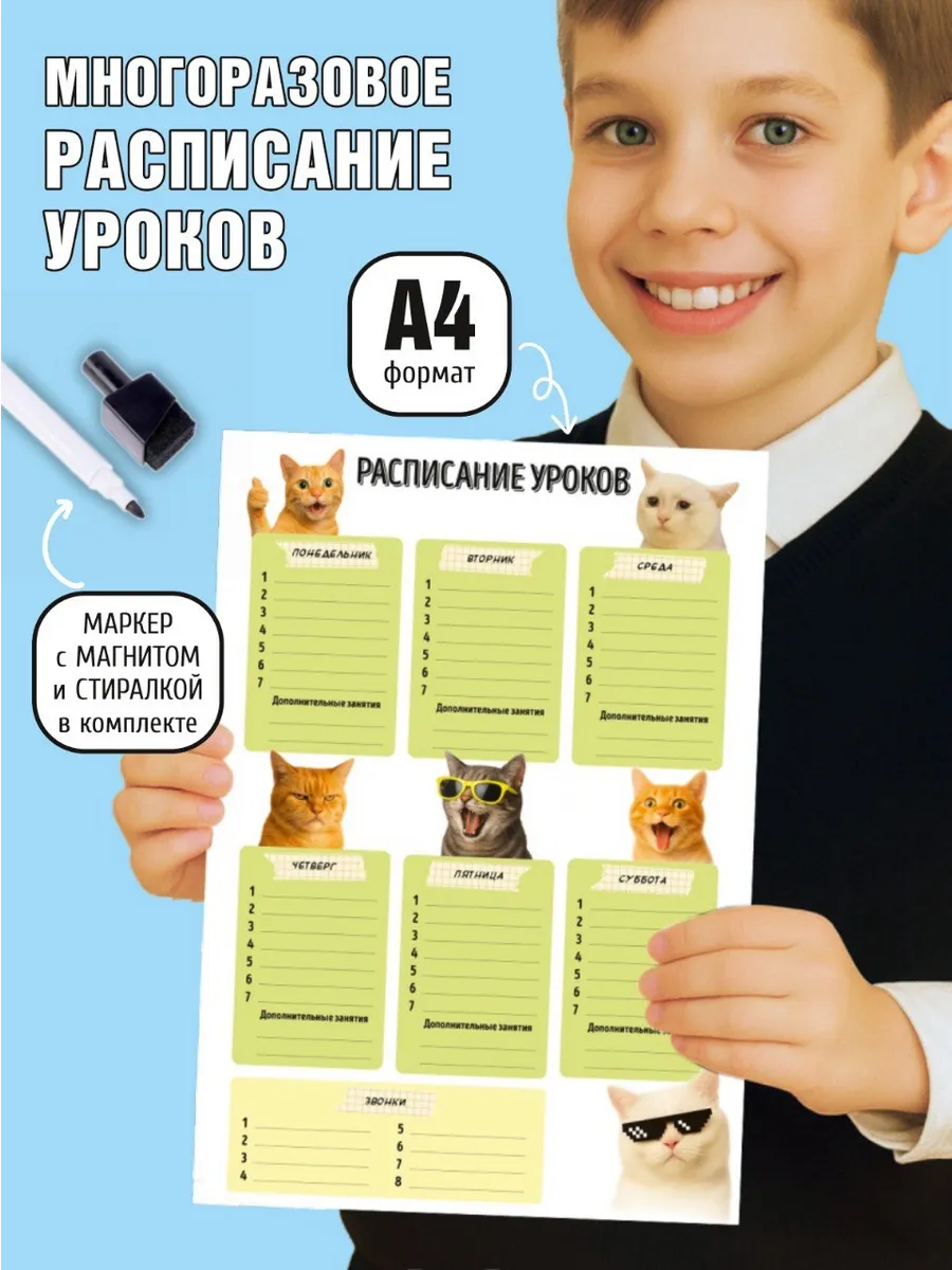 Расписание уроков мемные коты