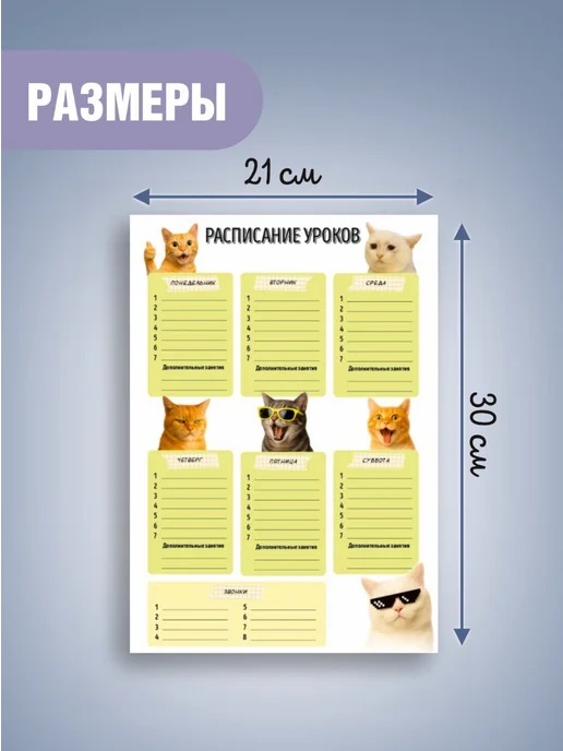 Газетное Камское Издательство Расписание уроков мемные коты, белый, фото 2