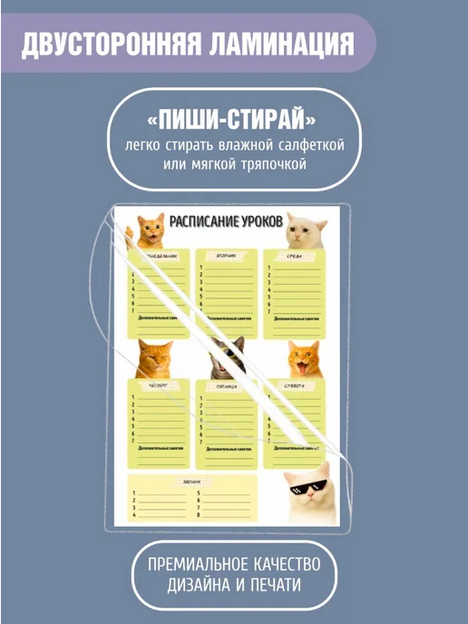 Газетное Камское Издательство Расписание уроков мемные коты, белый, фото 4