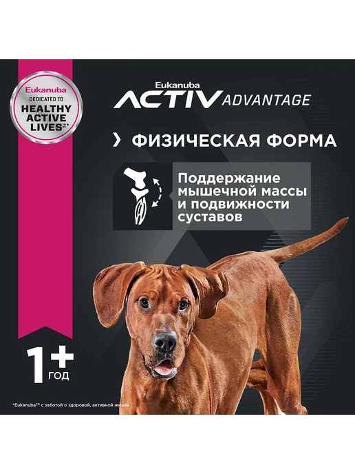 Сухой корм Eukanuba Breed для собак, взрослые, крупные, курица, 15 кг, фото 3