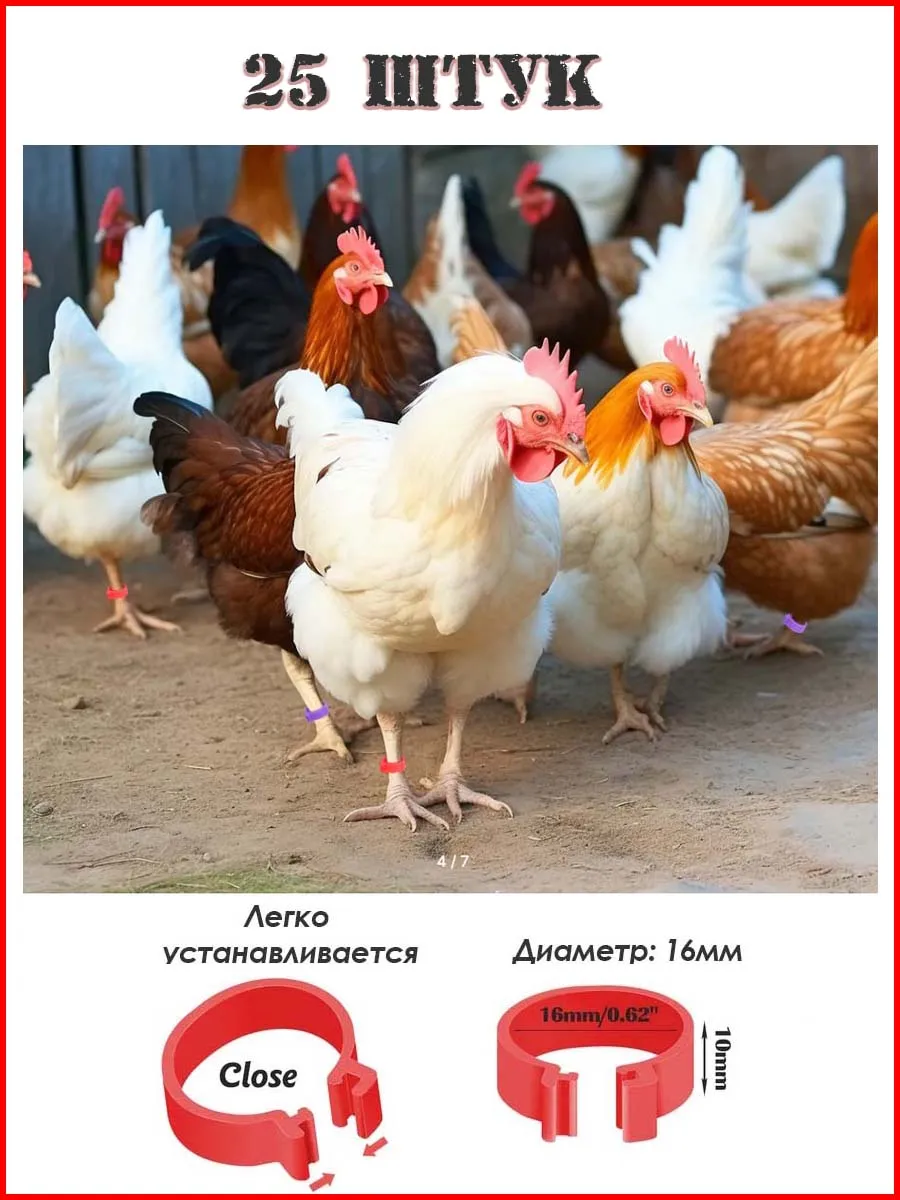 Кольцо метка для птицы