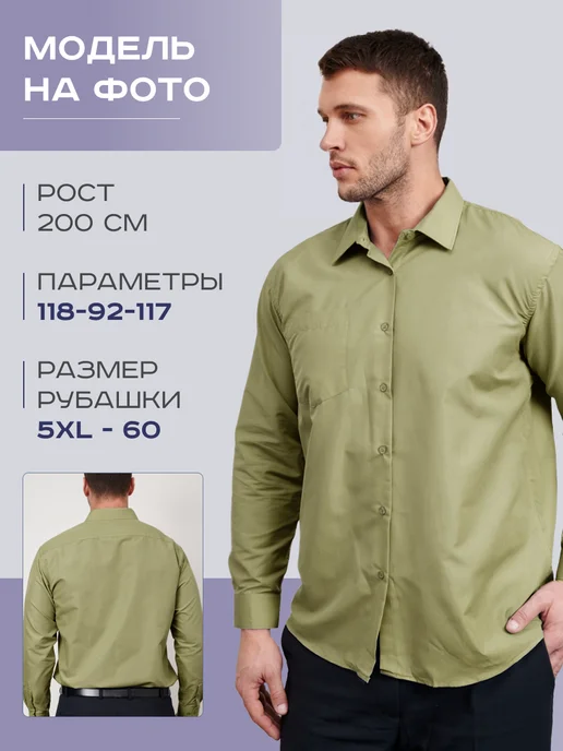 OSSBORN Рубашка классическая с длинным рукавом, зеленый, фото 4