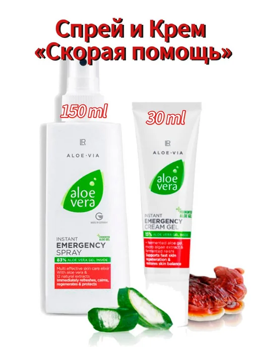 Lr    -     WildBerries.ru
