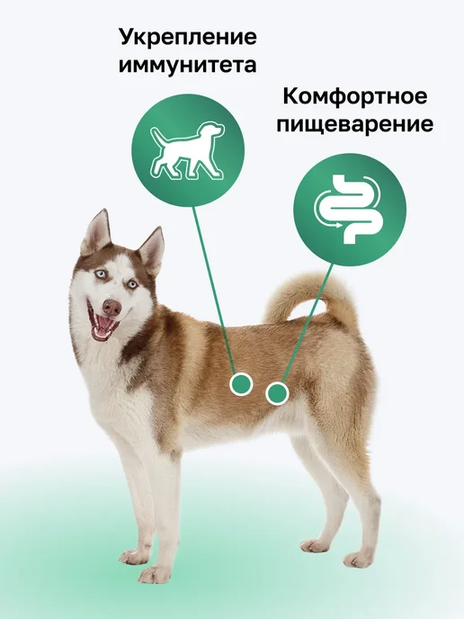 Сухой корм Organix Фруктами для собак, курица, 3 кг, фото 2