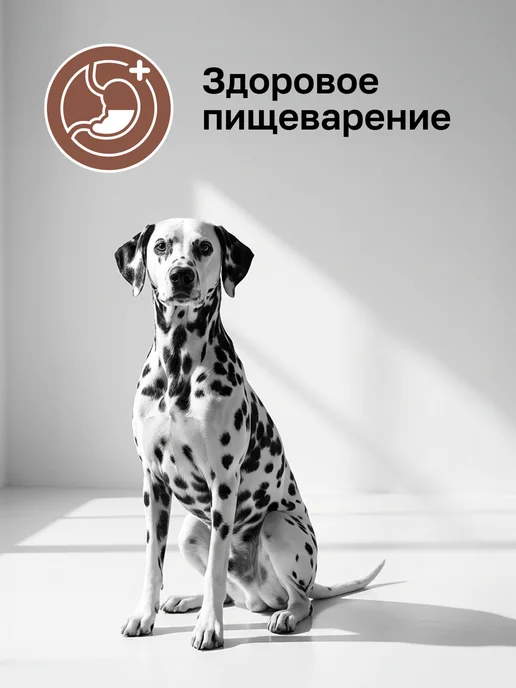 Сухой корм Organix Gastrointestinal Профилактика для собак, 2,5 кг, фото 2