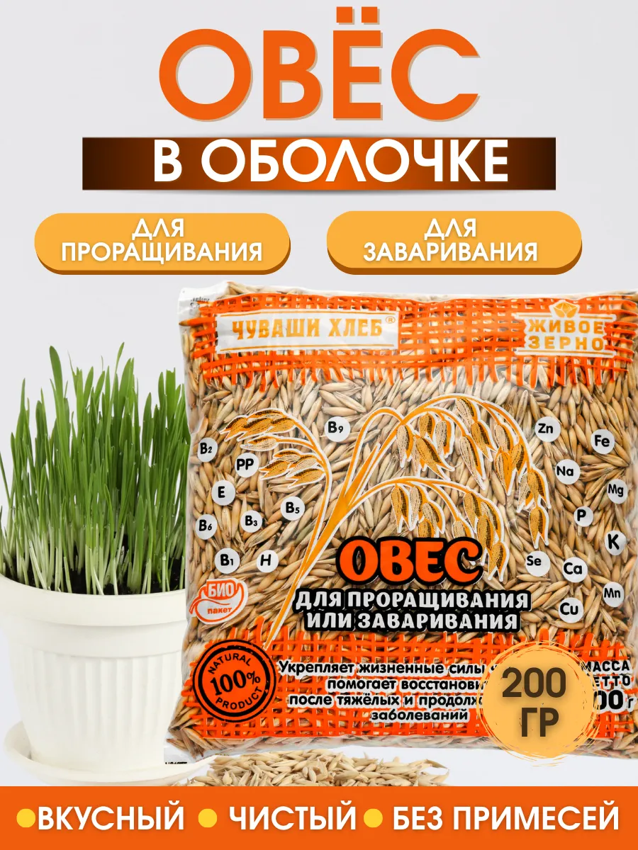 Овес для заваривания лечебный 200 г