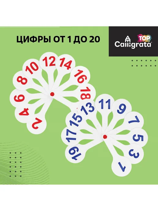 Calligrata Веер-касса букв и цифр, белый, фото 2