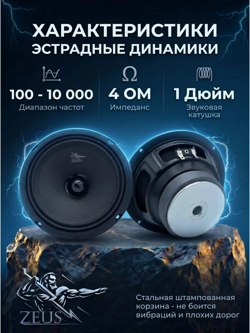 Zeus Динамики эстрадные 16см автомобильные MR-6.1, черный, фото 2