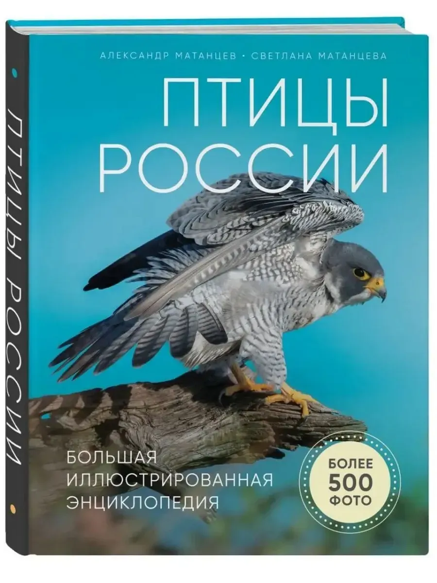 Птицы России Большая иллюстрированная энциклопедия