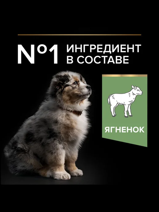 Сухой корм Proplan Pro Plan для собак, средние, щенки, ягненок, 3 кг, фото 3