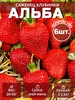 Саженцы клубники Альба 6 шт 493413475 купить за 211 ₽ в интернет‑магазине Wildberries