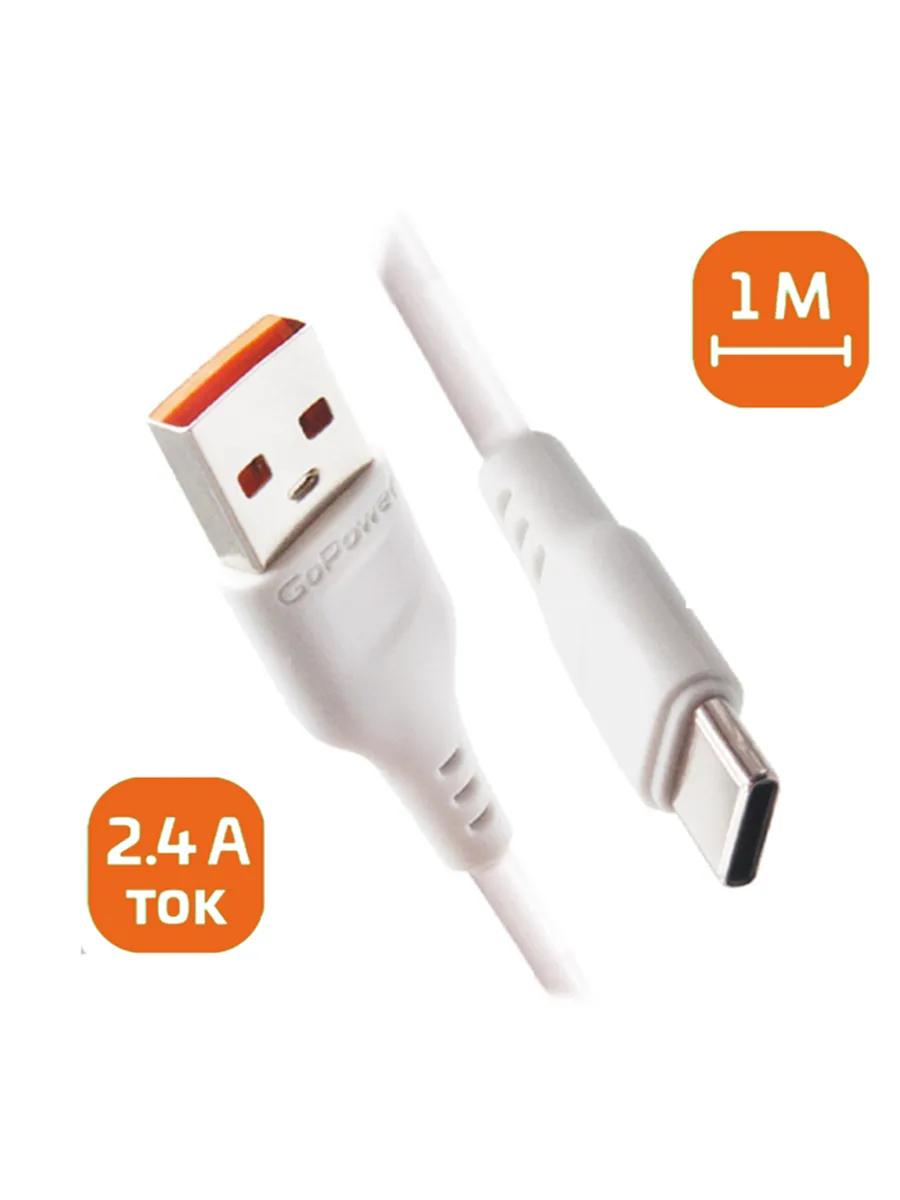 GoPower Type-C