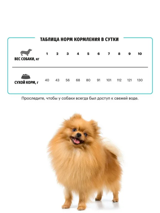 Сухой корм KARMY Hypoallergenic Собакам для собак, мелкие, ягненок, 10 кг, фото 3