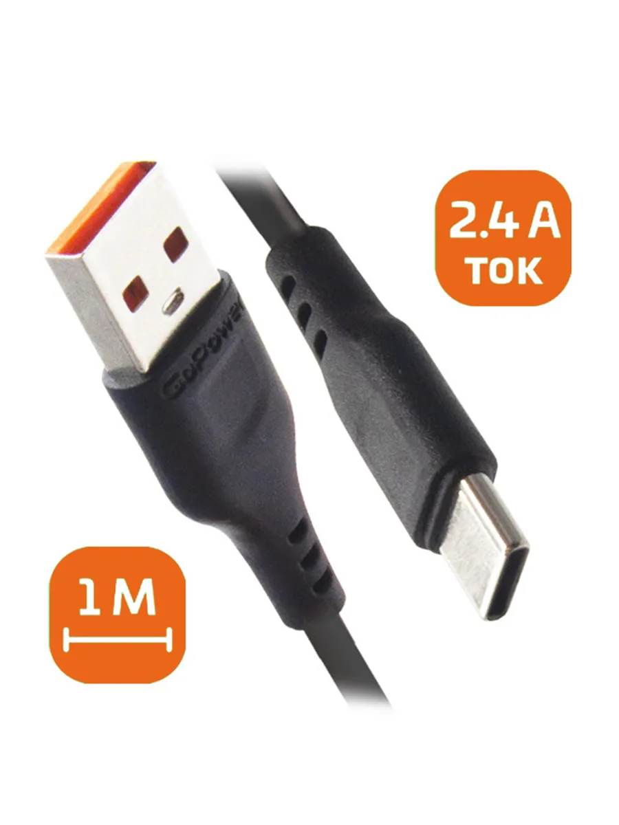 GoPower Type-C