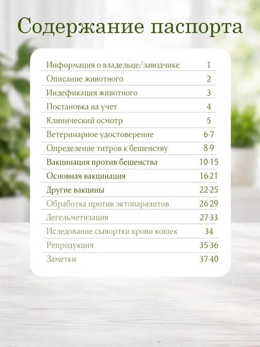 Ушастый друг Ветеринарный паспорт для собак, коричневый, фото 3