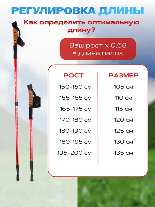 Палки для скандинавской ходьбы и треккинга, оранжевый, фото 6