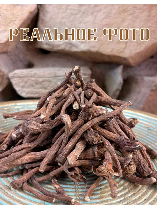 TreeLove Корень одуванчика, вариант, фото 4