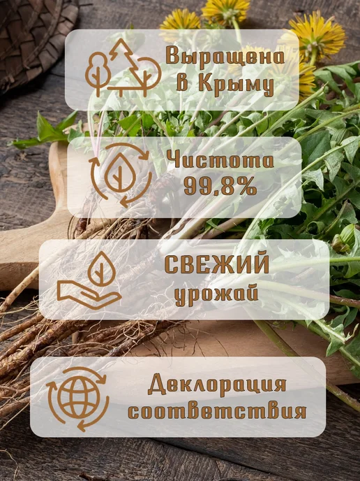 TreeLove Корень одуванчика, вариант, фото 5