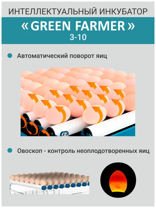 GREEN FARMER Инкубатор для яиц автоматический 3-10 с терморегулятором, зеленый, фото 3