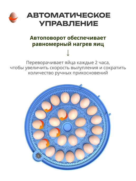 GREEN FARMER Инкубатор для яиц автоматический ГКР-52 с терморегулятором, зеленый, фото 2