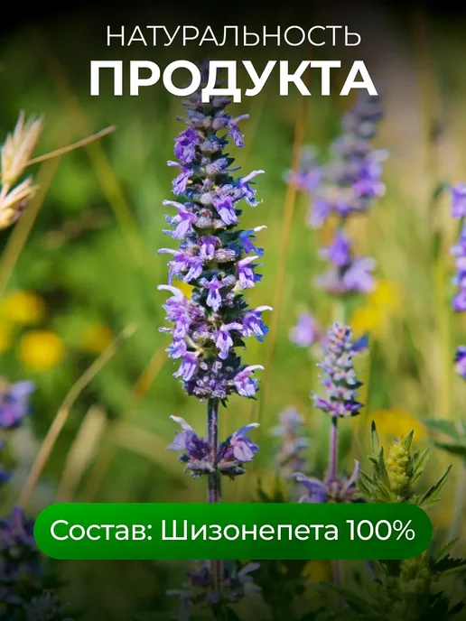bee lab Травяной сбор шизонепета 100 гр, 100 г, фото 5