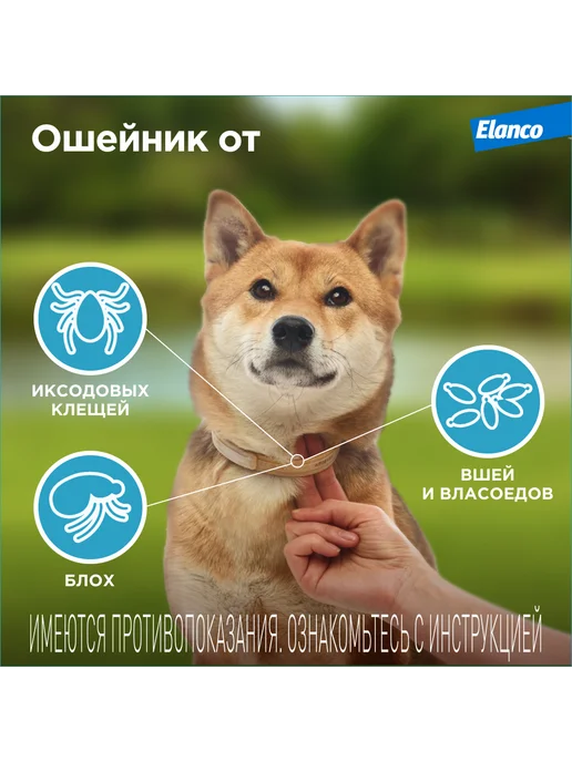 Elanco Килтикс ошейник для собак мелких пород 35 см, вариант, фото 3