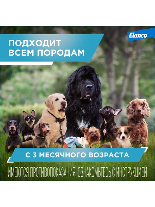 Elanco Килтикс ошейник для собак мелких пород 35 см, вариант, фото 4