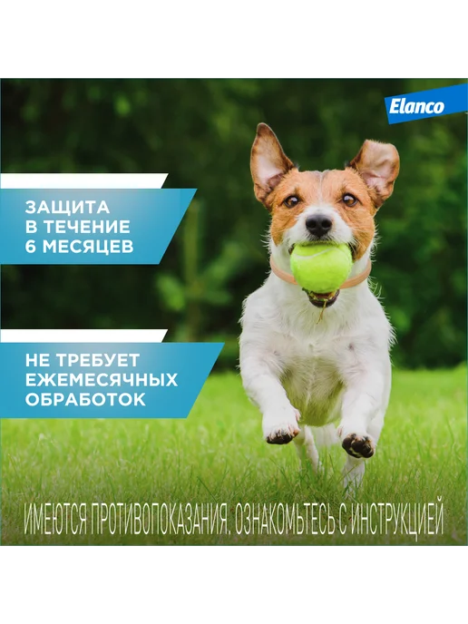 Elanco Килтикс ошейник для собак мелких пород 35 см, вариант, фото 5