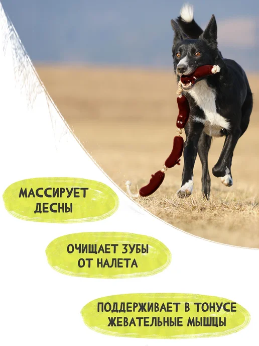 Triol Игрушка для собак Четыре сосиски, веревка, 630мм, коричневый, фото 3