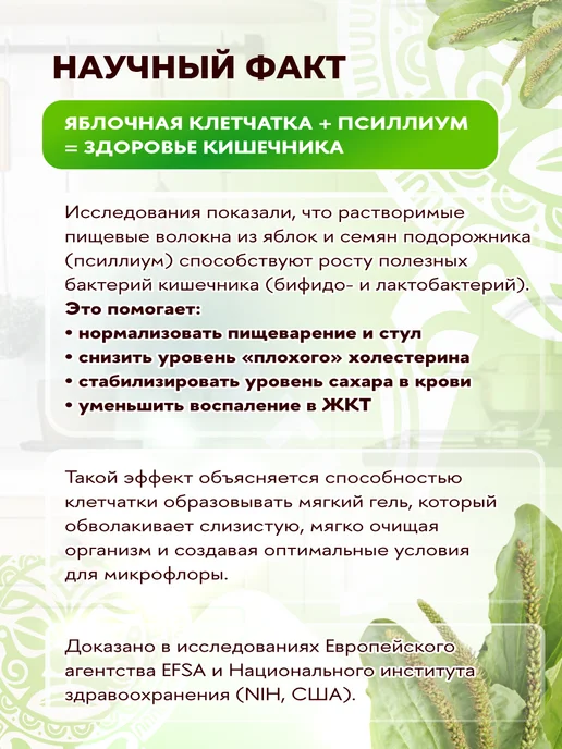 MAD GENERATION Клетчатка с Растительным Протеином для похудения, вариант, фото 4