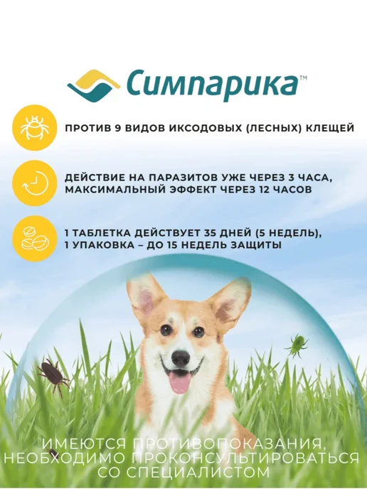 Zoetis Симпарика таблетки от блох и клещей для собак 10- 20 кг, 20 кг, фото 2