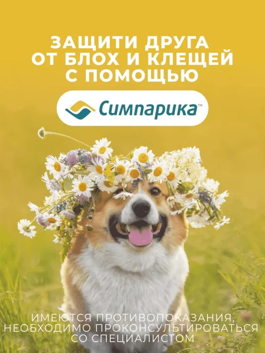Zoetis Симпарика таблетки от блох и клещей для собак 10- 20 кг, 20 кг, фото 3