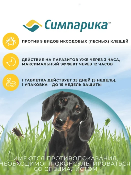 Zoetis Симпарика таблетки от блох и клещей для собак 5 - 10 кг, 10 кг, фото 2