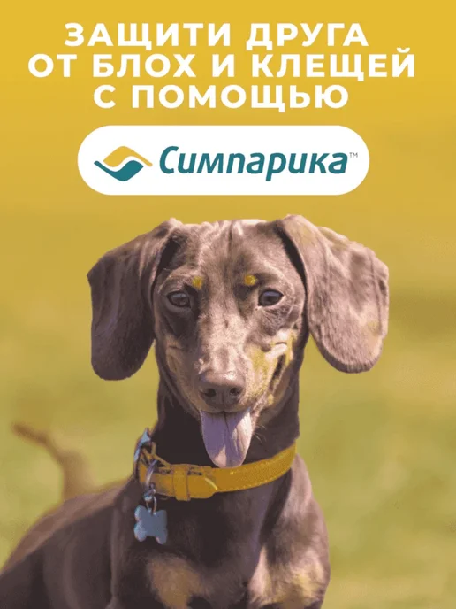 Zoetis Симпарика таблетки от блох и клещей для собак 5 - 10 кг, 10 кг, фото 3