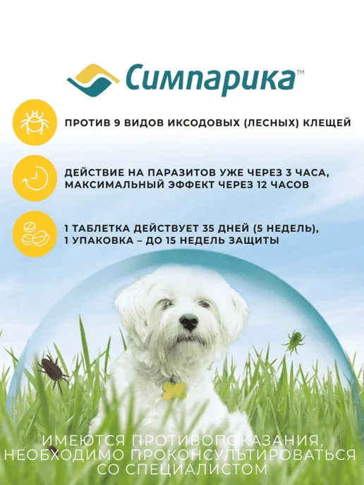 Zoetis Симпарика таблетки от блох и клещей для собак 2,6 - 5 кг, 5 кг, фото 2