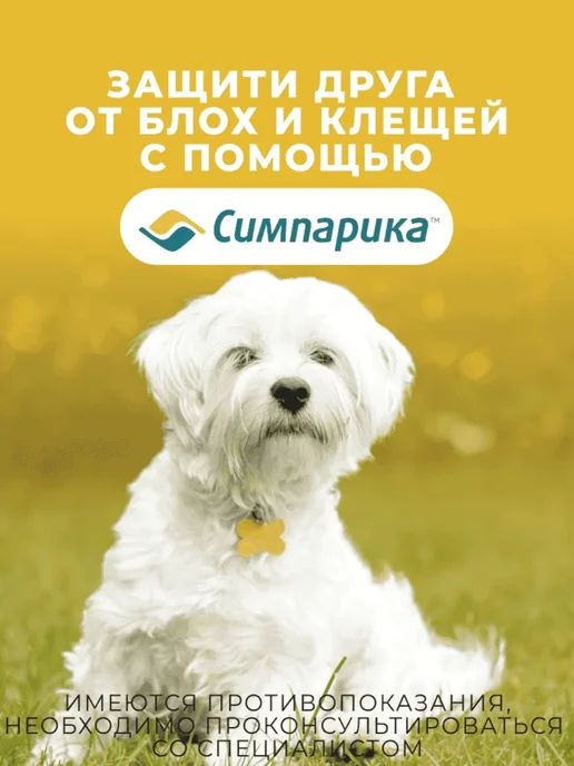 Zoetis Симпарика таблетки от блох и клещей для собак 2,6 - 5 кг, 5 кг, фото 3