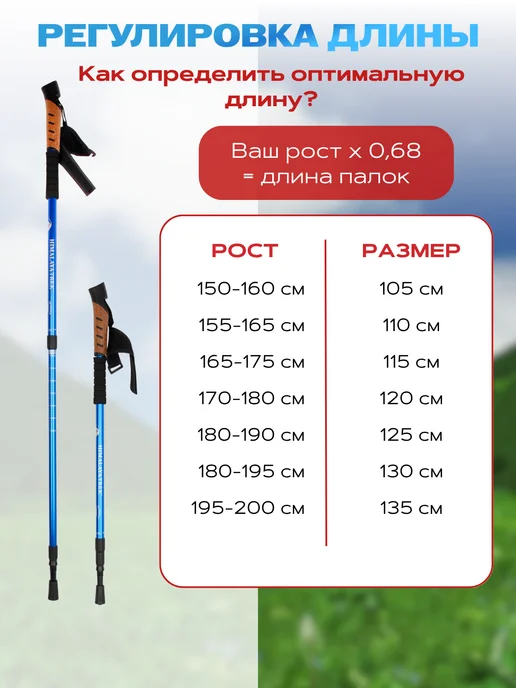 Палки треккинговые для ходьбы, телескопические, синий, фото 2