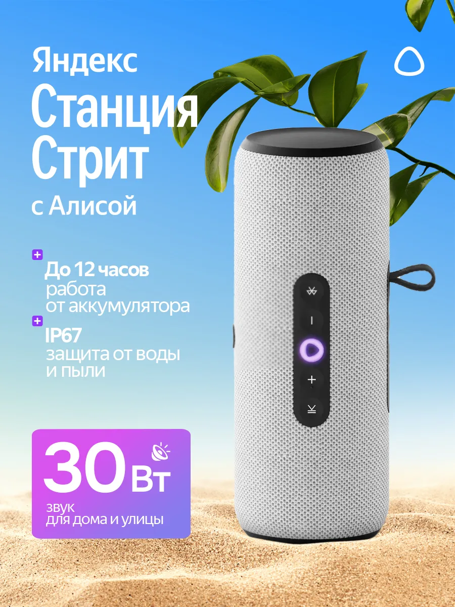 Умная портативная колонка Станция Стрит с Алисой