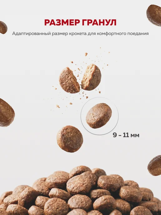 Сухой корм ЗООГУРМАН для собак, стерилизованные, лосось, 1,2 кг, фото 3