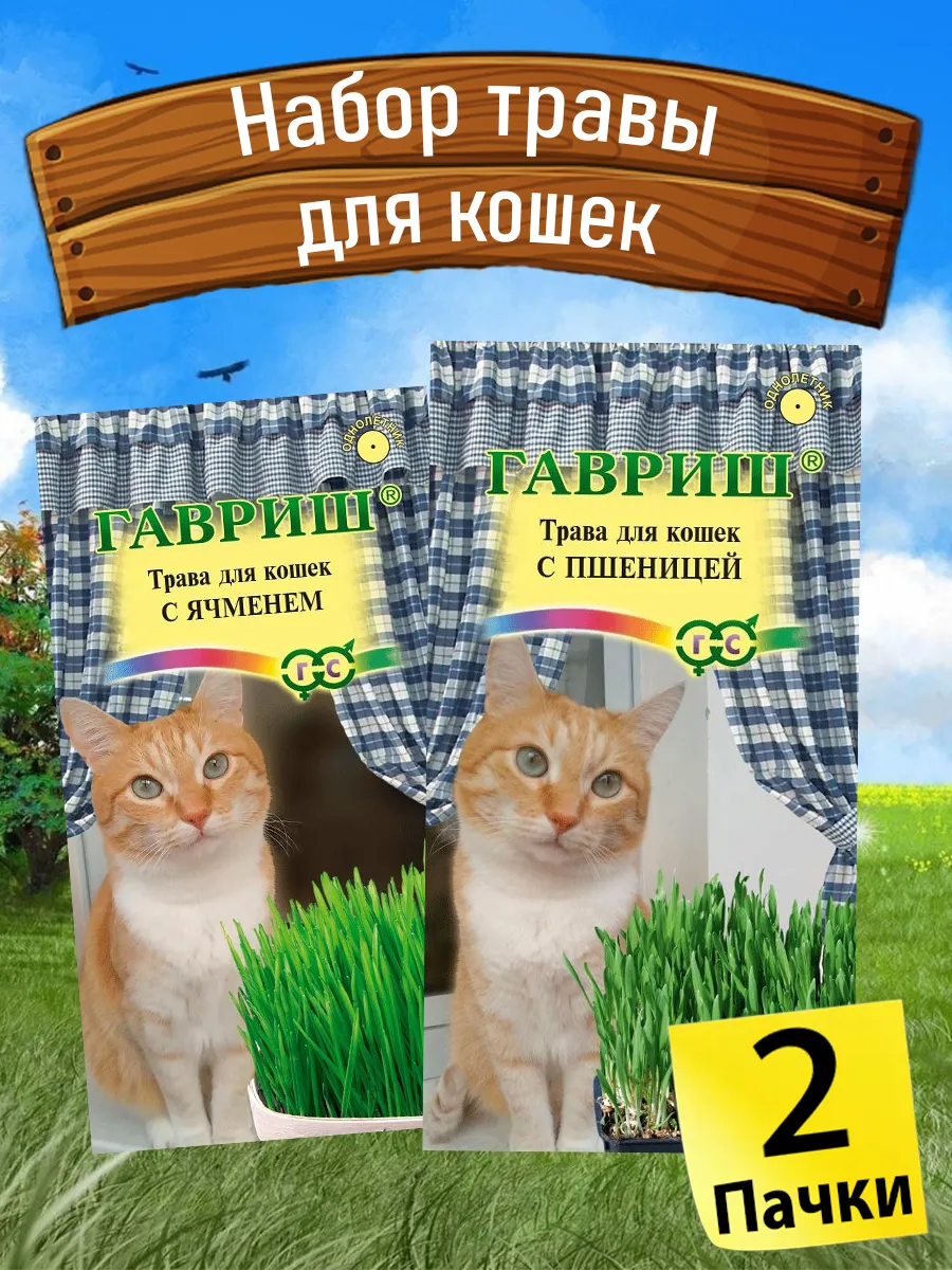 Семена травы для кошек. Набор для проращивания