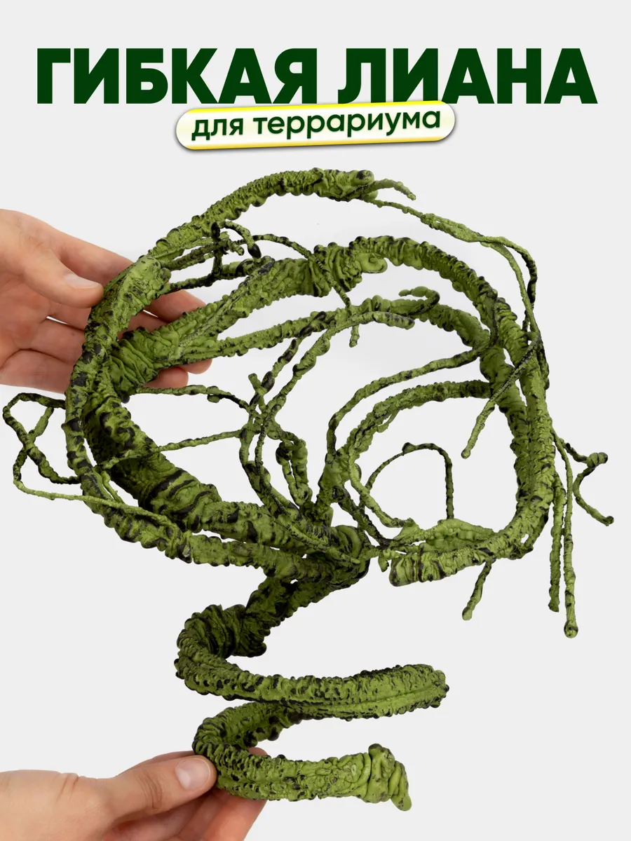 Растение для террариума, лиана