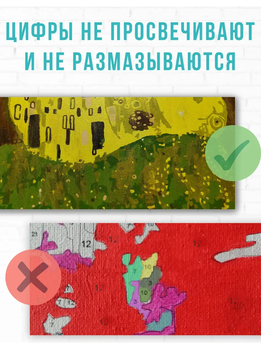 Семья лягушек — фотография 4