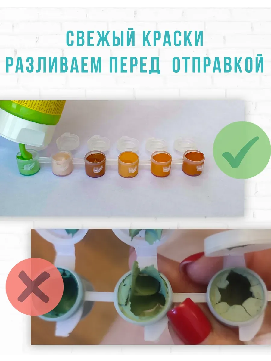 Семья лягушек — фотография 6