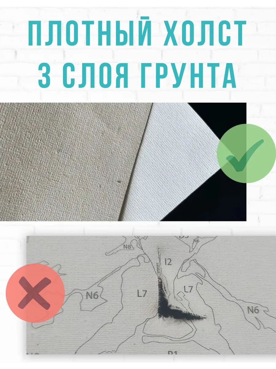 Семья лягушек — фотография 7