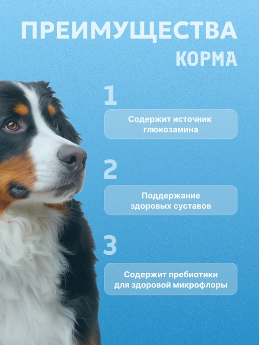 Сухой корм PERFECT FIT для собак, взрослые, говядина, 1,4 кг, фото 2