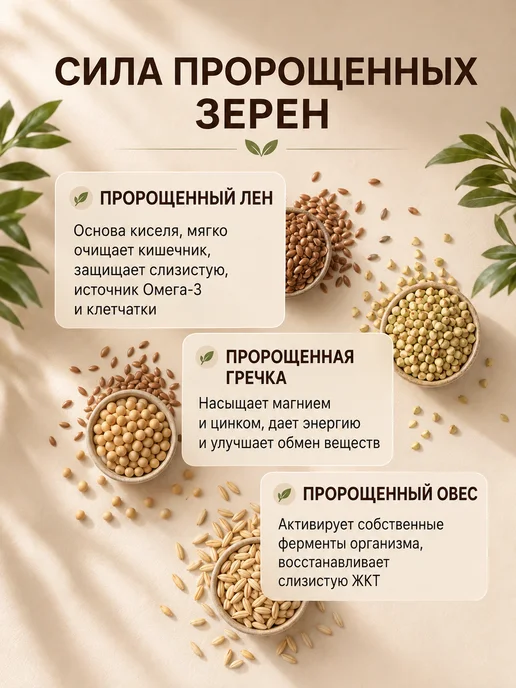 Живой кисель для ЖКТ Натуральный состав 100 г, 200 г, фото 2