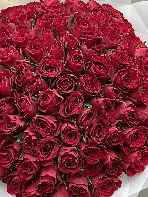 ROZA4U Букет живых цветов из 101 красной розы, красный, фото 6