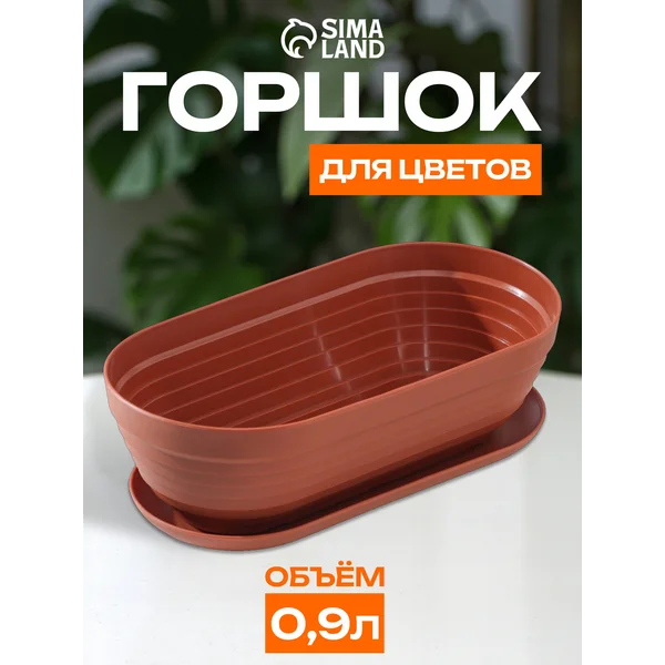Горшок для кактуса с поддоном «Алиса»